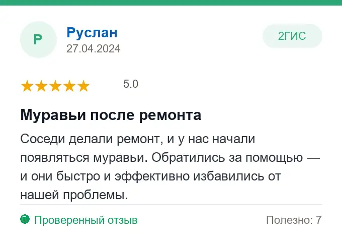 Отзыв Руслан: Муравьи после ремонта