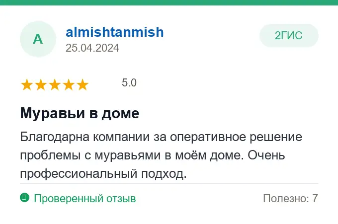 Отзыв almishtanmish: Муравьи в доме
