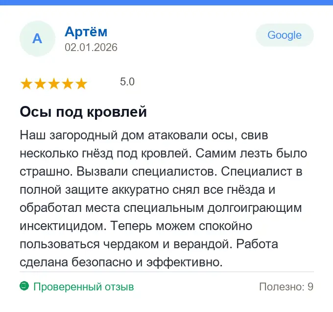 Отзыв Артём: Осы под кровлей