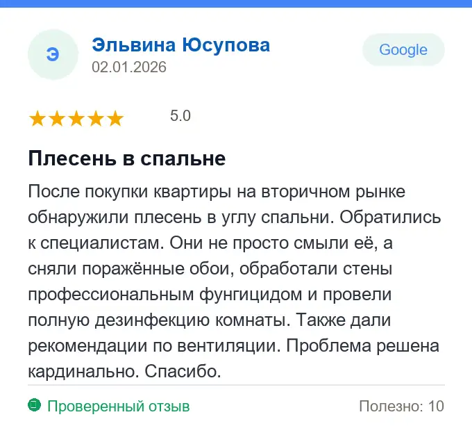 Отзыв Эльвина Юсупова: Плесень в спальне