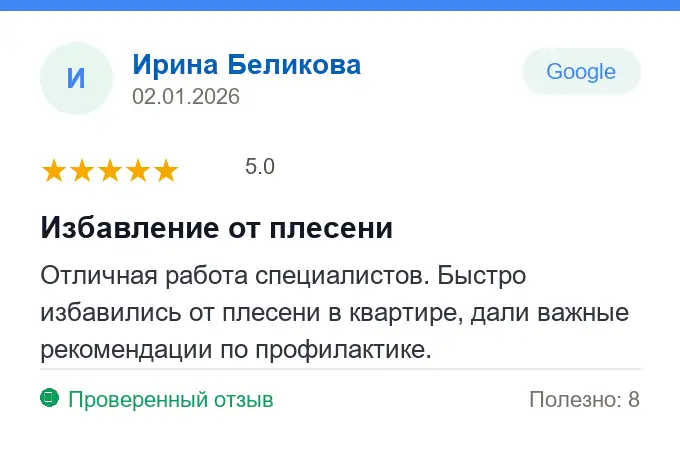 Отзыв Ирина Беликова: Избавление от плесени