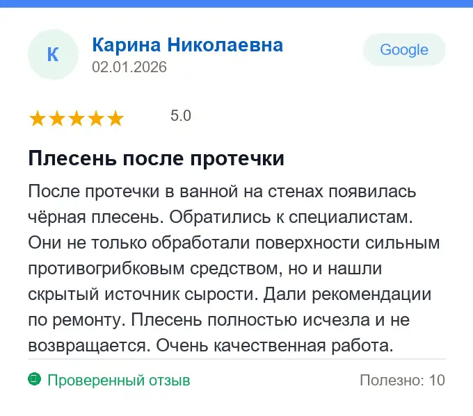 Отзыв Карина Николаевна: Плесень после протечки