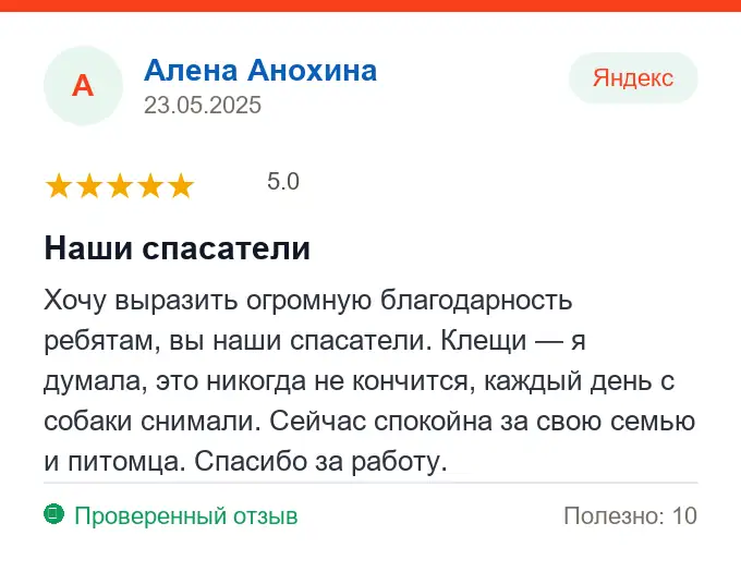 Отзыв Алена Анохина: Наши спасатели